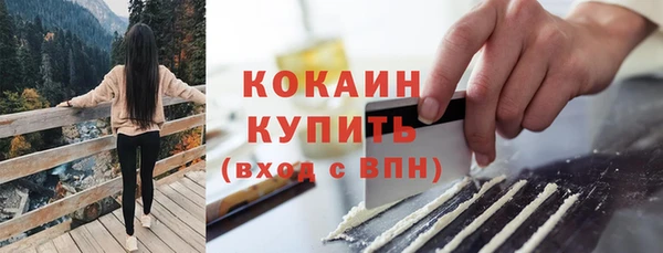 стаф Вязьма