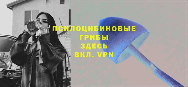 ешки Володарск