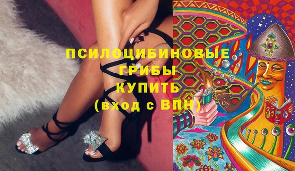 ешки Володарск