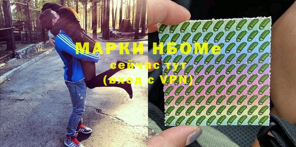 ГАЛЛЮЦИНОГЕННЫЕ ГРИБЫ Строитель